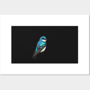 Tree Swallow Posters and Art